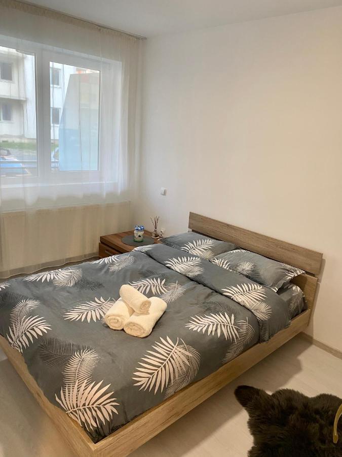 Apartament Irina Брашов Экстерьер фото